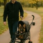 Home - La tienda de mascotas más grande de Chile.