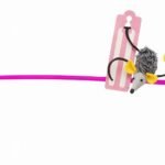 Home - La tienda de mascotas más grande de Chile.