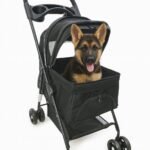 Home - La tienda de mascotas más grande de Chile.