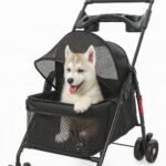 Home - La tienda de mascotas más grande de Chile.