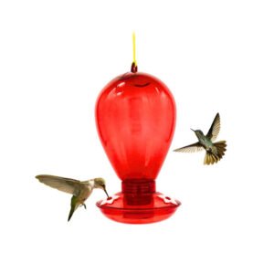 Home - La tienda de mascotas más grande de Chile.