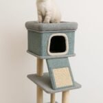 Home - La tienda de mascotas más grande de Chile.