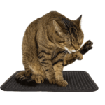 Home - La tienda de mascotas más grande de Chile.