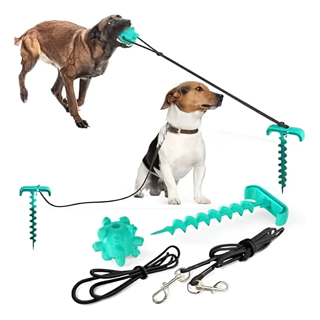 D_NQ_NP_2X_626969-MLC91649974792_092025-F-kit-de-amarre-y-estaca-para-perros