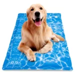 Home - La tienda de mascotas más grande de Chile.