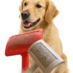 Home - La tienda de mascotas más grande de Chile.