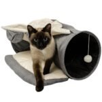 Home - La tienda de mascotas más grande de Chile.