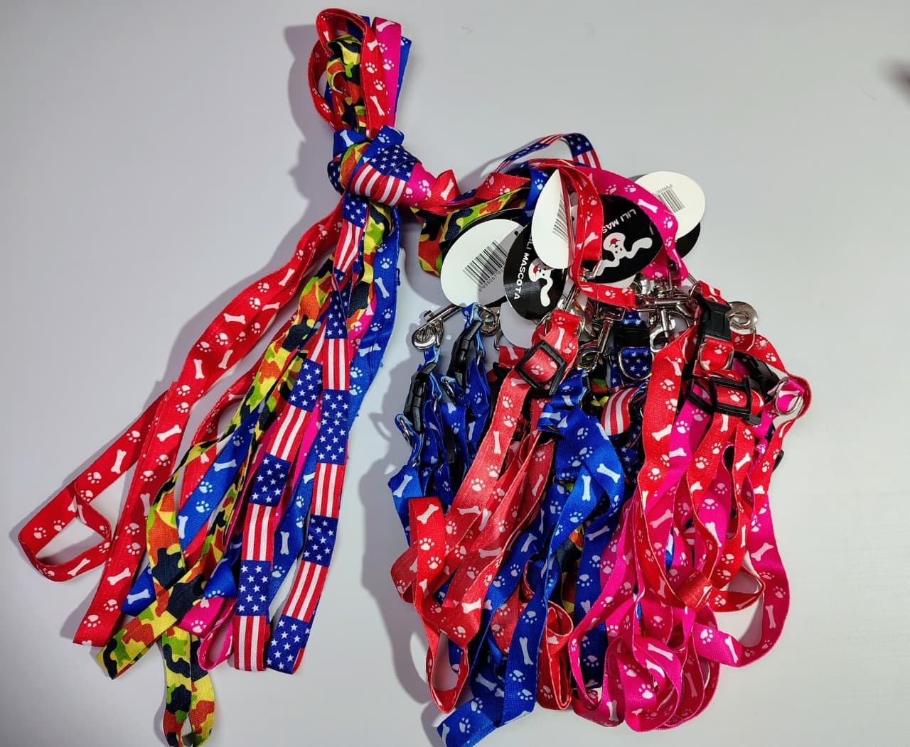 set de arnes economico