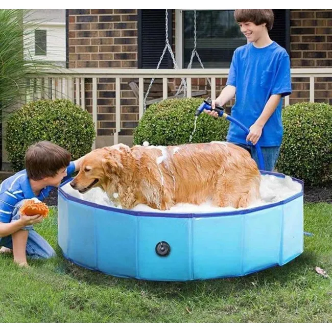 w=650,h=650,fit=pad (2)