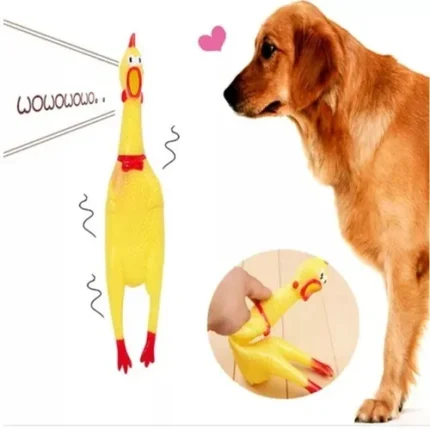 POLLO MEDIANO M 101-1 508-3