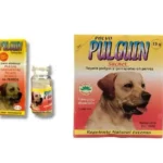 Home - La tienda de mascotas más grande de Chile.