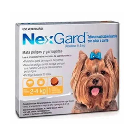 NEXGARD MASTICABLE 11.3MG 2-4 KG (1 COMP)